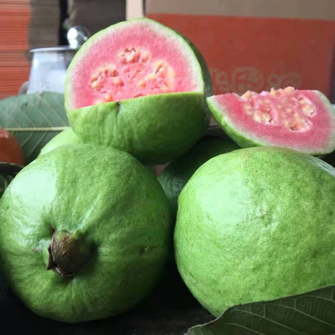 番石榴 广西水果芭乐，果型方正，大小均匀，有需要的抓紧联系我