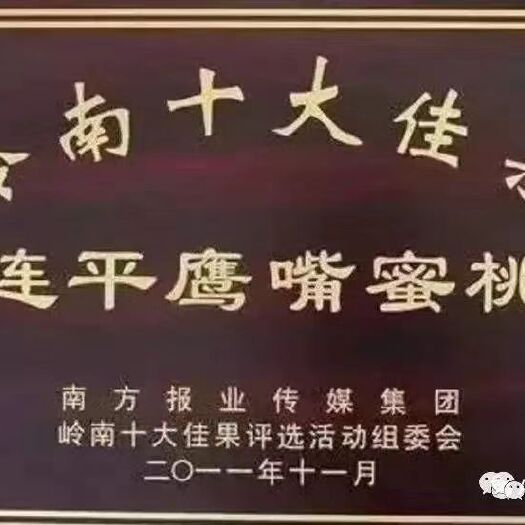 和平县 岭南十大佳果：河源市连平上坪鹰嘴蜜桃
