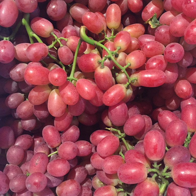 红地球 红提葡萄