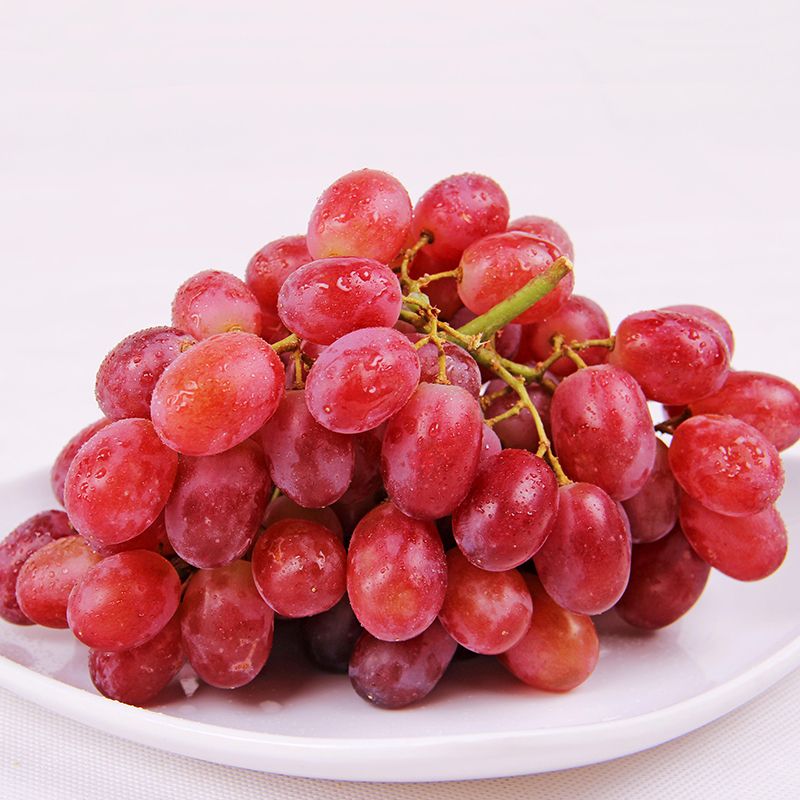 红地球 红提葡萄