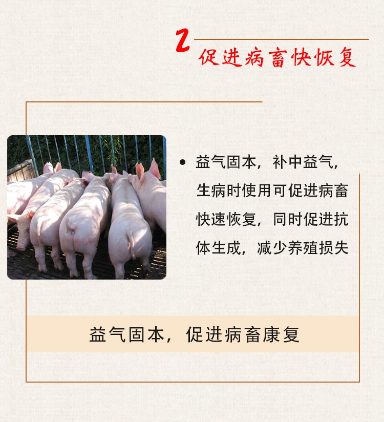 混合型饲料添加剂 黄芪多糖，纯正中，抗病毒增强免疫