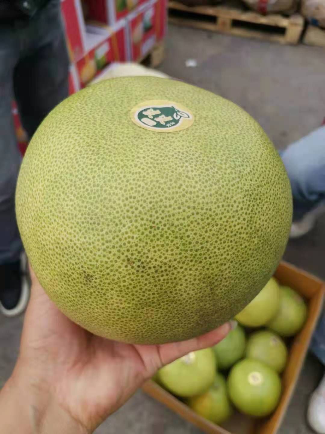 泰国青柚，34斤净重，果型方正，大小均匀，有需要的抓紧联系我