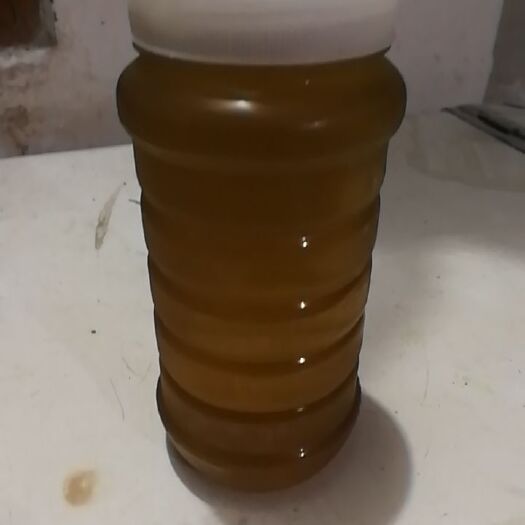 瑞金市土蜂蜜  自产自销