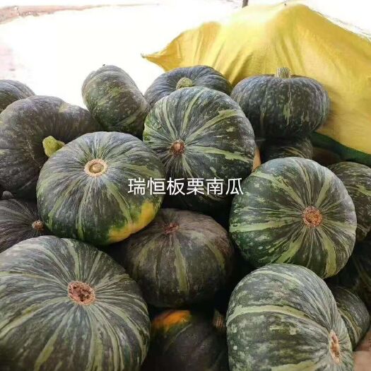 寿光市板栗南瓜种子，软糯香甜，南瓜苗子。
