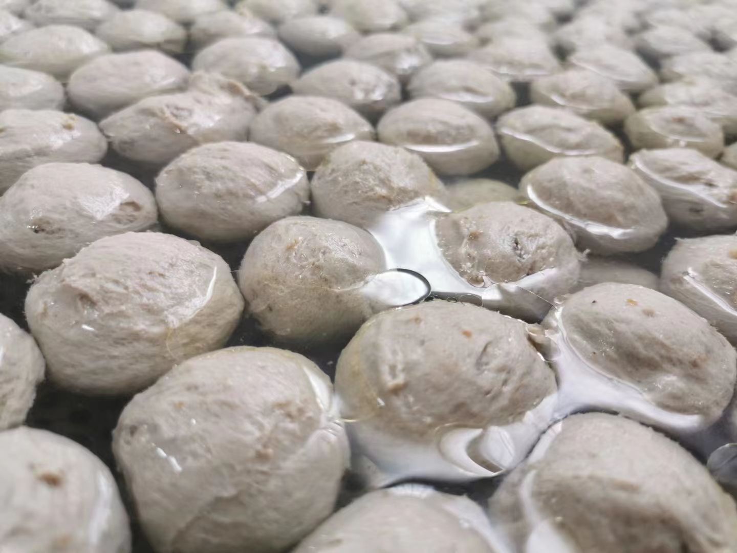 正丸潮汕手打牛筋丸