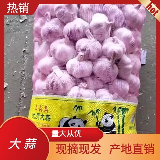 通许县白皮蒜  大蒜，红皮大蒜，白皮大蒜