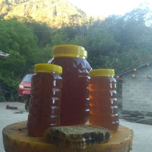 永胜县云南丽江高原大山百花蜜