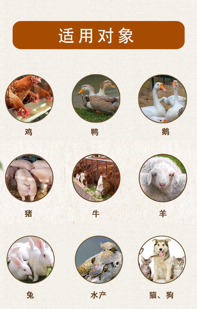 混合型饲料添加剂 黄芪多糖，纯正中，抗病毒增强免疫