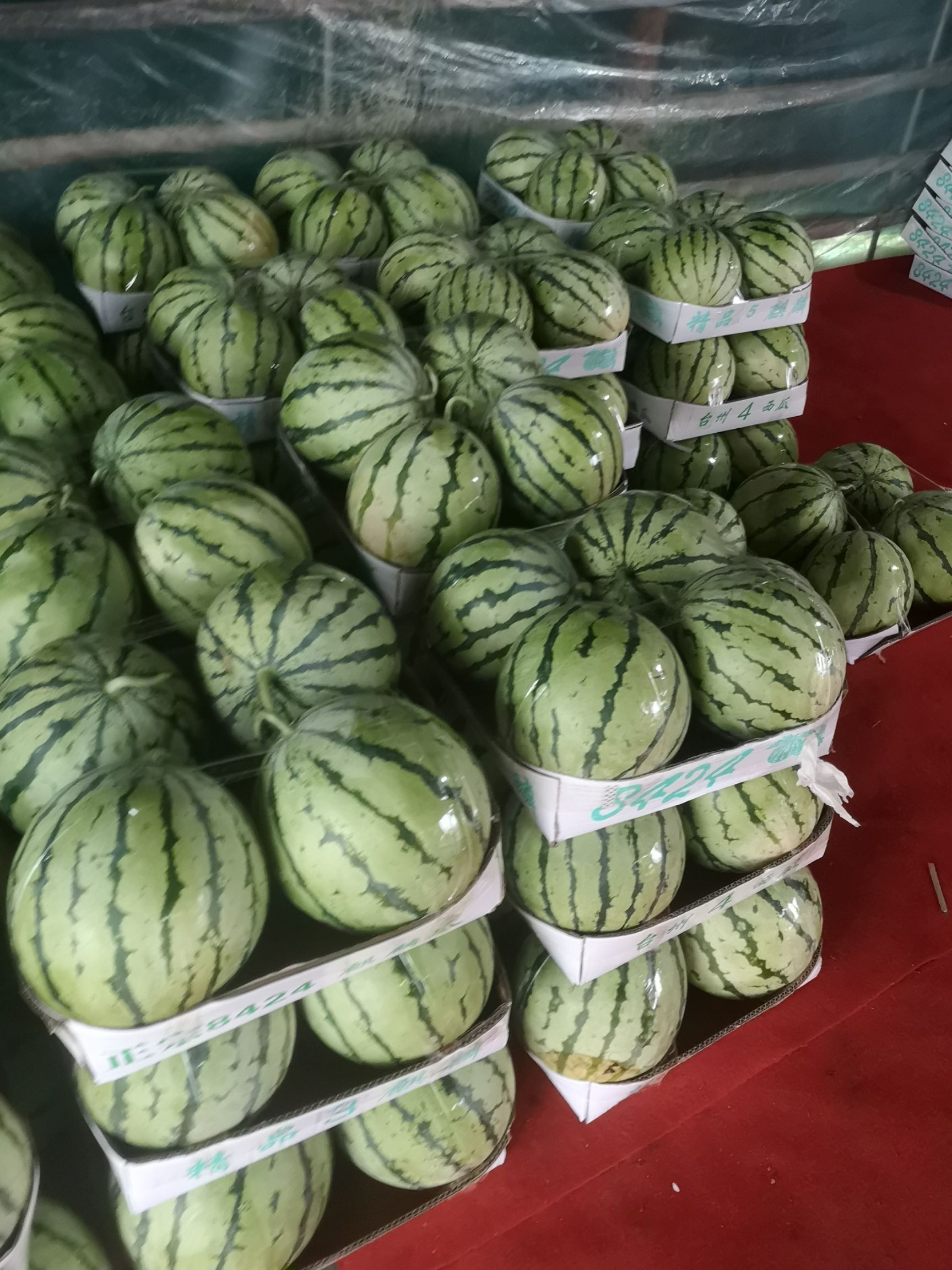 麒麟西瓜，久甜2号，口感香甜可口，皮薄肉脆，个头大小均匀。