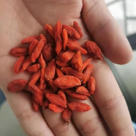 祁连县红枸杞通货