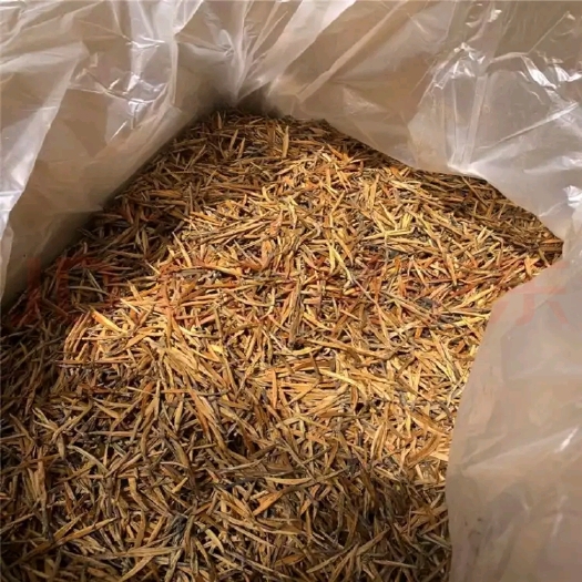 林州市滇红金针  茶叶大金针