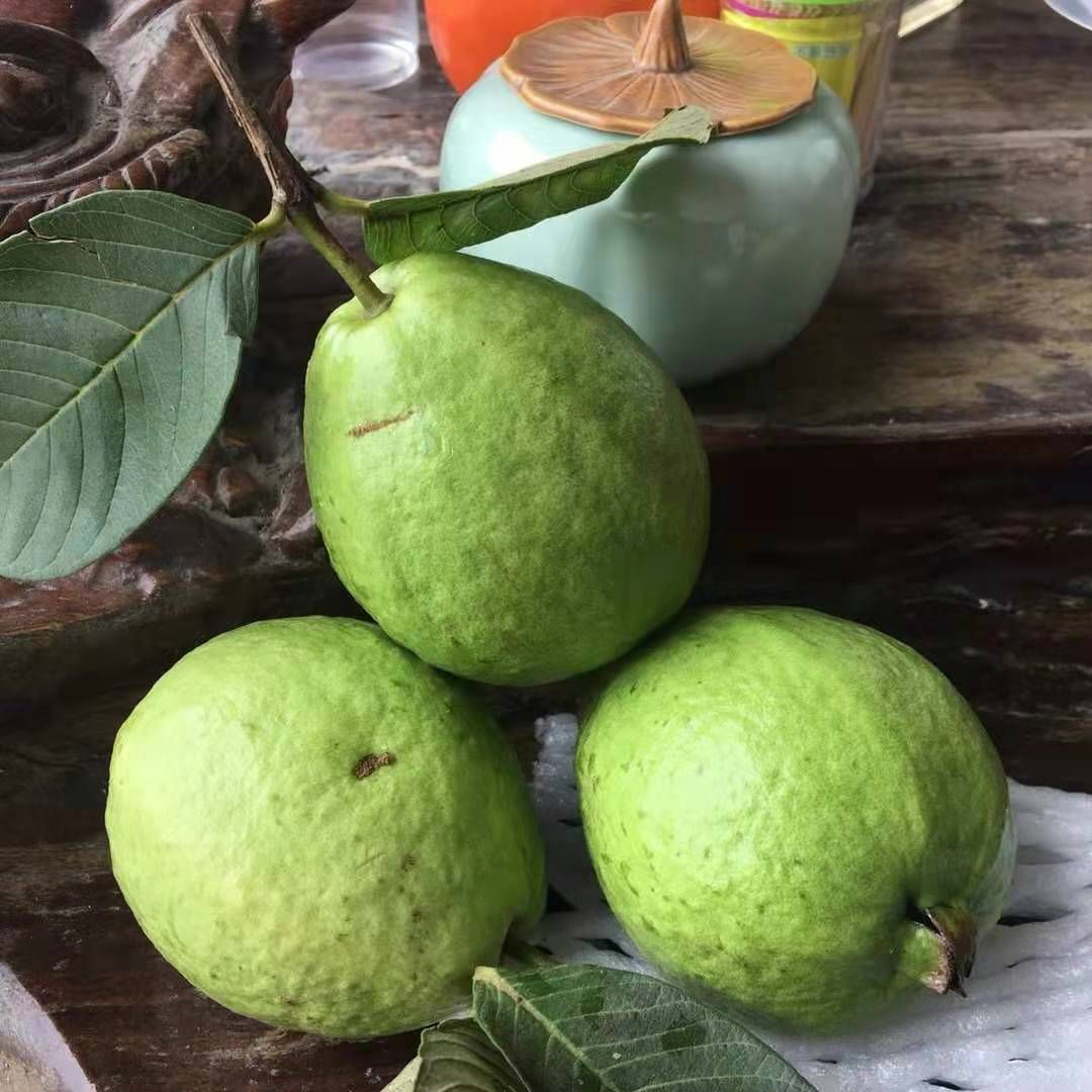 番石榴 广西水果芭乐，果型方正，大小均匀，有需要的抓紧联系我