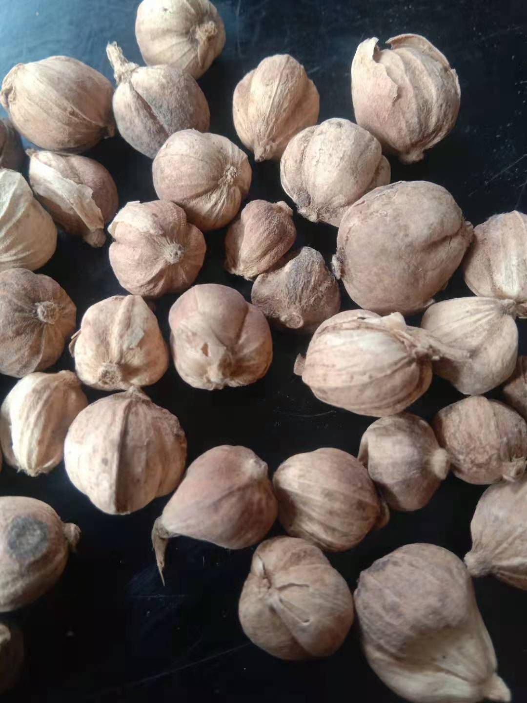 白豆蔻  原货白蔻，只做原装货