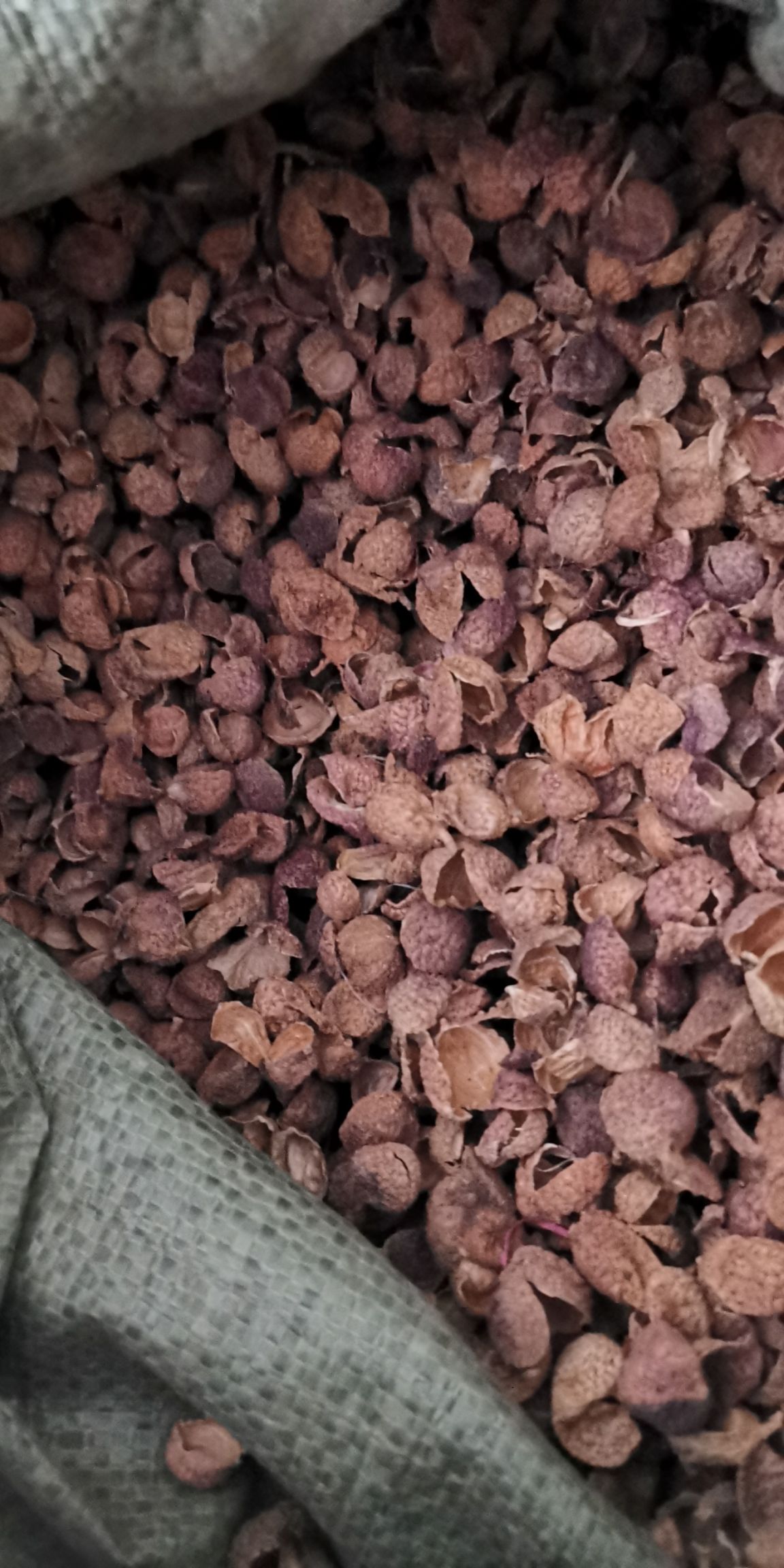  砂仁皮  手剥砂仁皮常年供应大货，量大从优