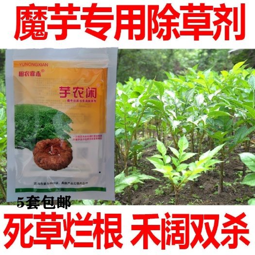 闽侯县精喹禾灵  魔芋除草剂魔芋田苗后专用组合芋农闲蘑芋草净云南贵