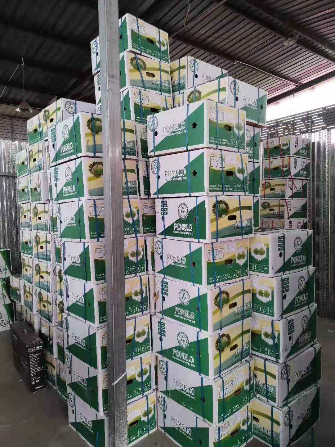 泰国青柚，34斤净重，果型方正，大小均匀，有需要的抓紧联系我