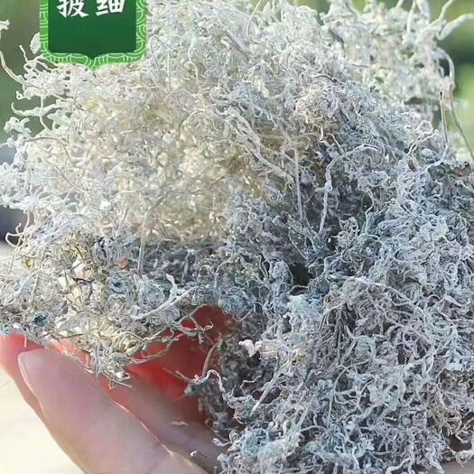 张家界明前莓茶