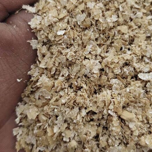 聊城麦麸  麸皮优惠出货需要联系我  金沙河益海五得利中粮