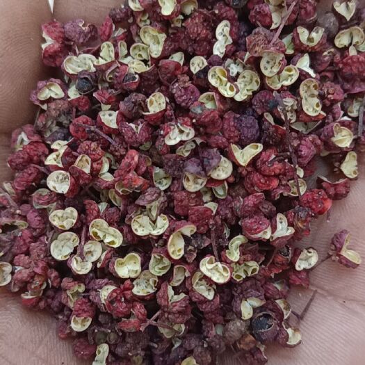 红花椒  甘肃天水秦安大红袍花椒，颗粒大，颜色红，自产自销