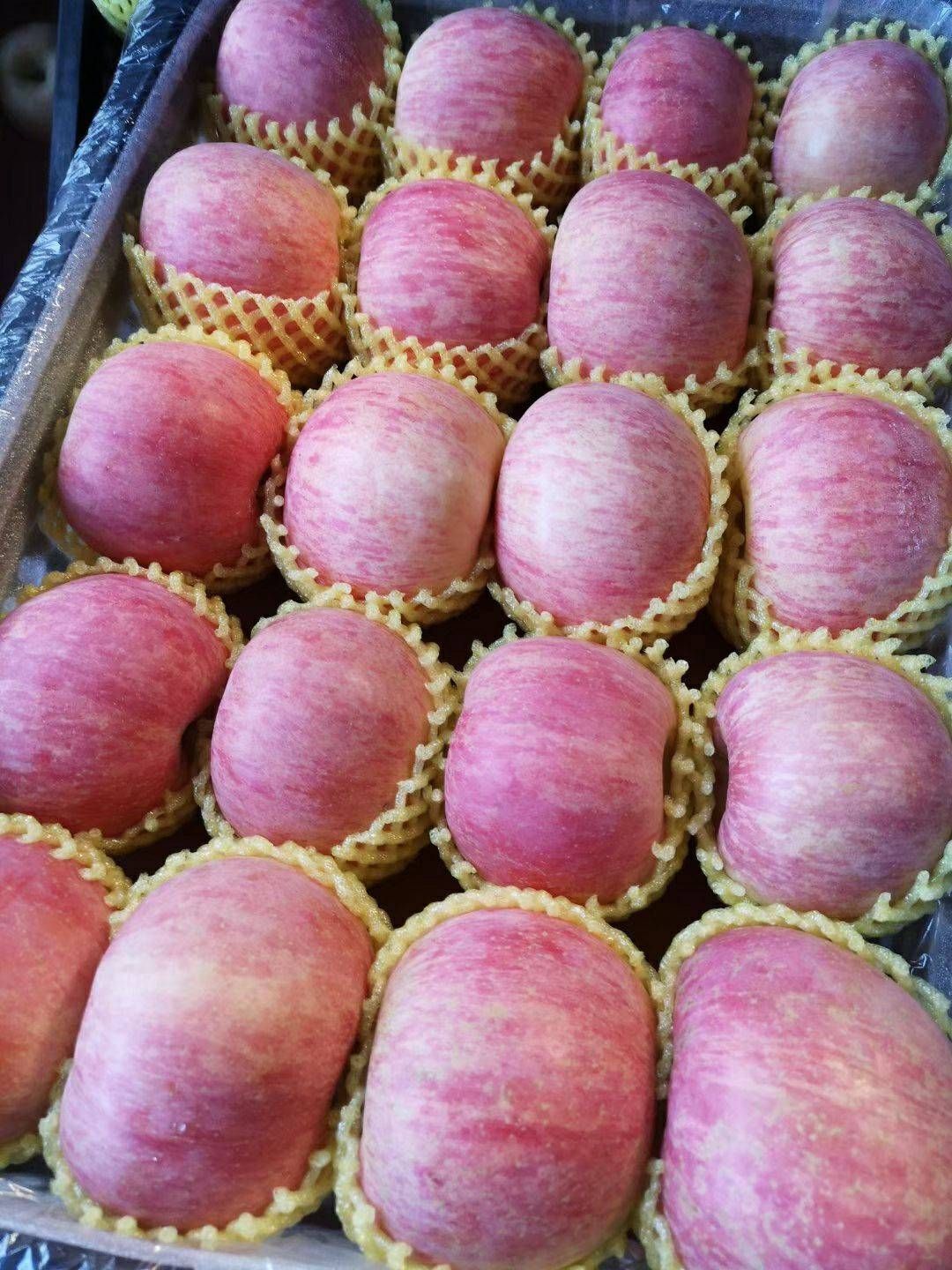 红富士苹果 山东苹果产地，红富士苹果片红，条，条纹量大从优