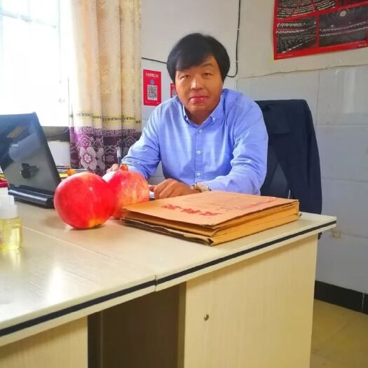 姚安县突尼斯软籽石榴 佰强红宝石软籽石榴