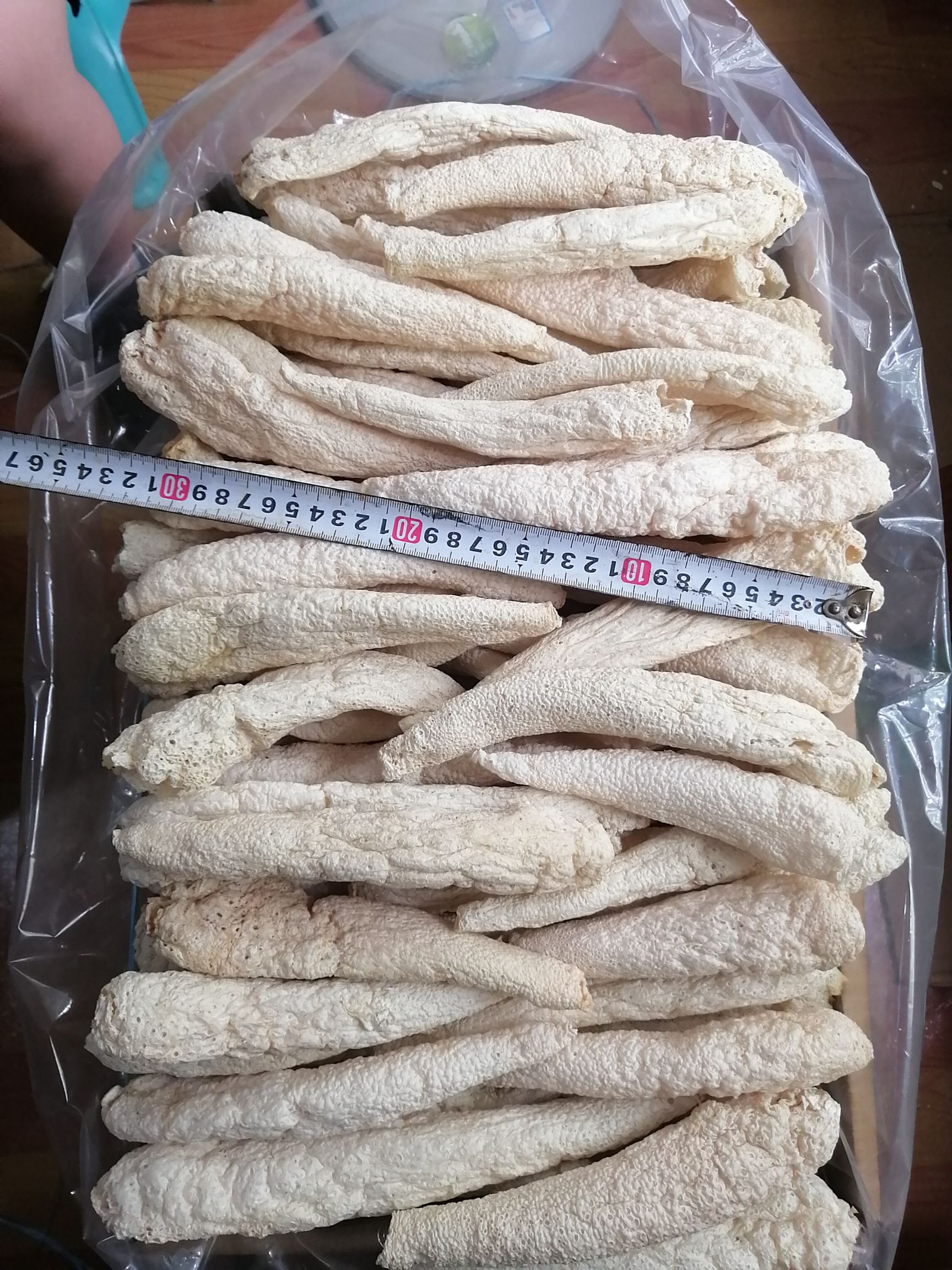 冬荪，大方冬荪，学名白鬼笔，又称竹下菌、竹菌、无裙荪，