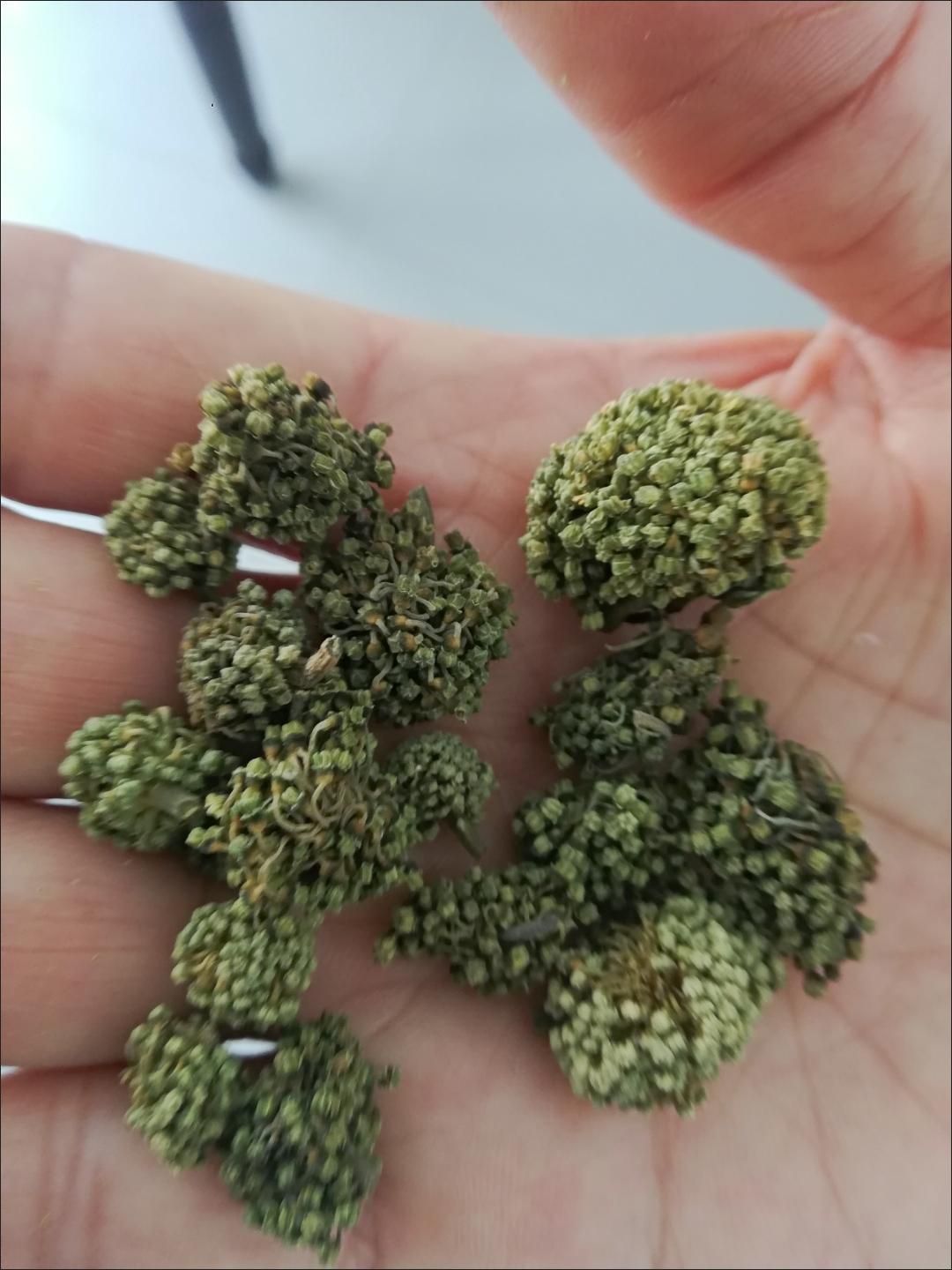云南三七花 中药材新货4年生 多仓当天发货 质量保证