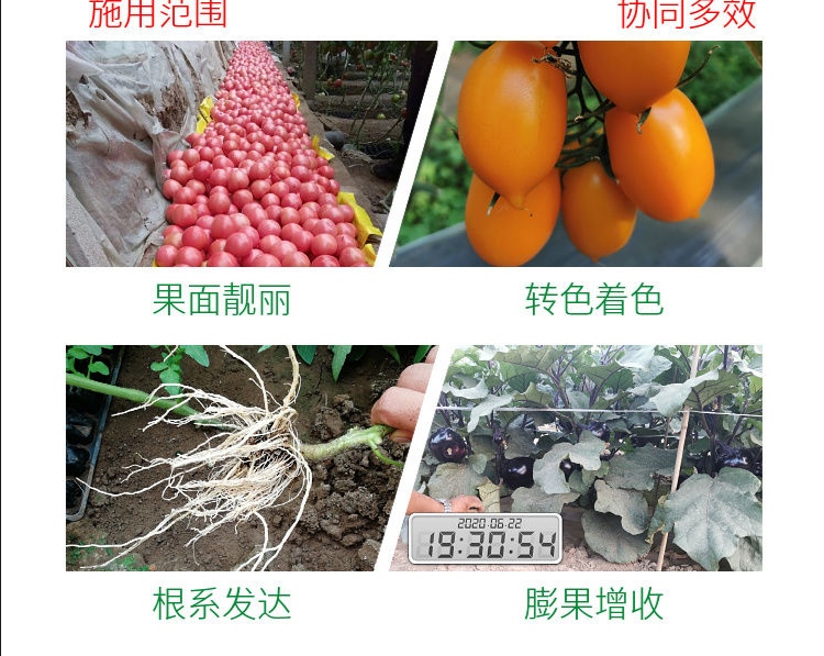 中量元素水溶肥，冲施钙，防止裂果、脐腐病，增加叶绿素含量，