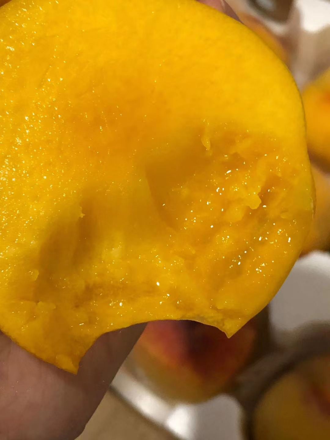  砀山万亩黄桃上市。83，19大量成熟