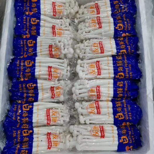 泗阳县白玉菇  200 300  克小包装