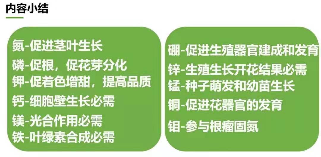 糖醇钙镁硼锌肥叶面肥中微量元素肥料果树蔬菜促花防裂果黄叶