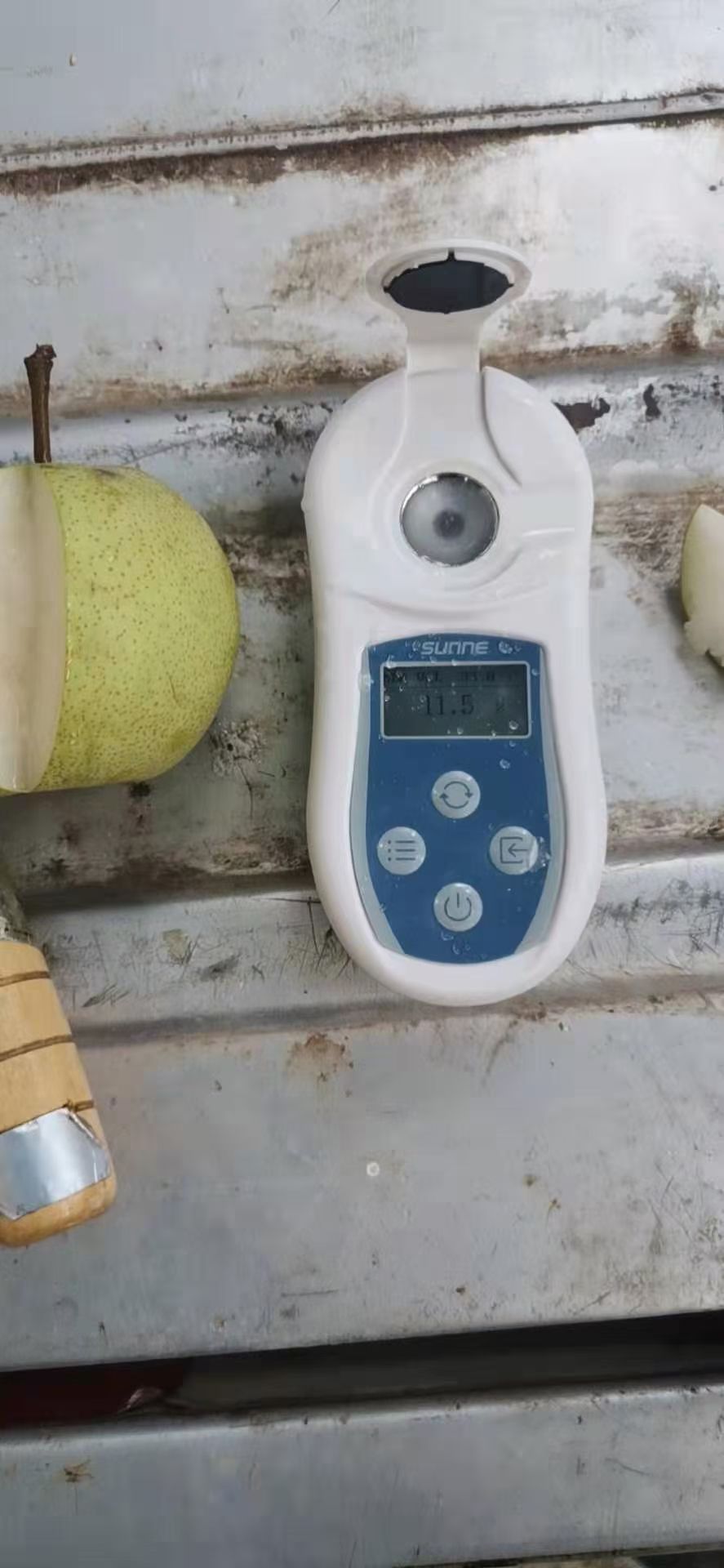 雪花梨 广西崇左特产的沙梨，口感青甜爽碎