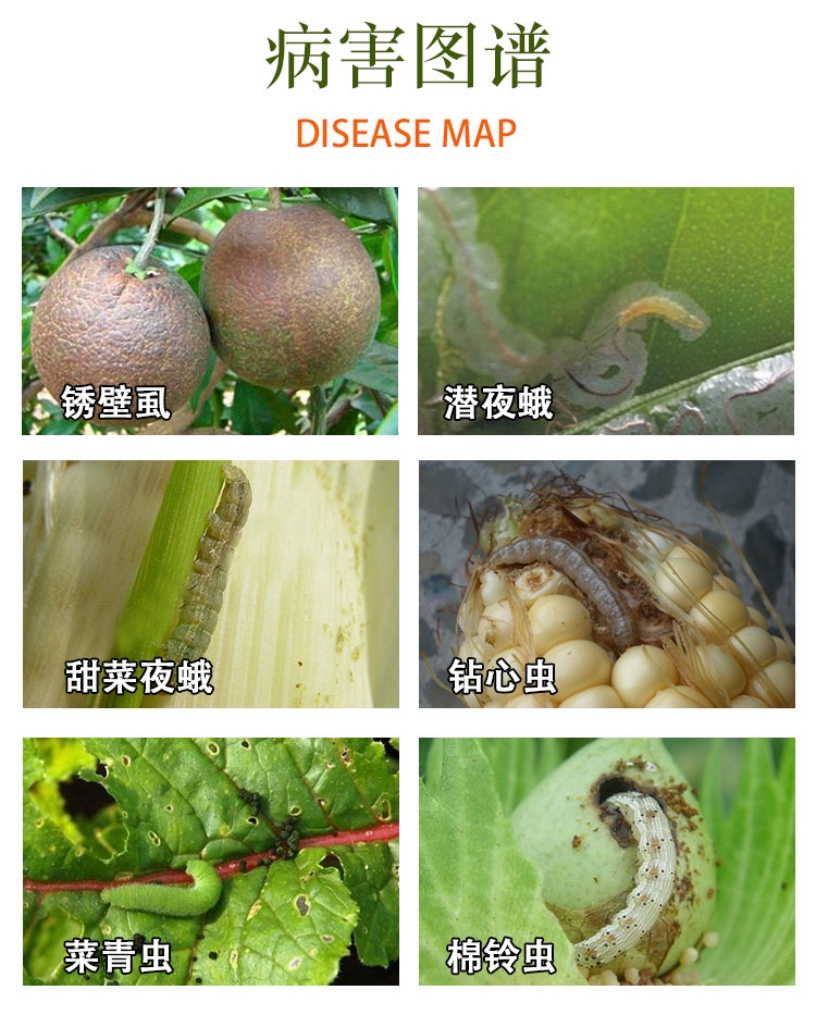 5%虱螨脲 柑橘锈壁虱 红蜘蛛 甜菜夜蛾 小菜蛾 农药杀虫剂