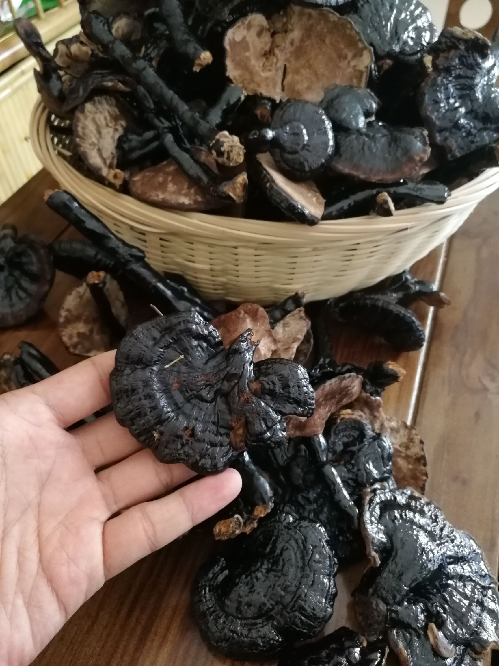  黑灵芝干货各种规格广西田林土特产灵芝之乡黑芝