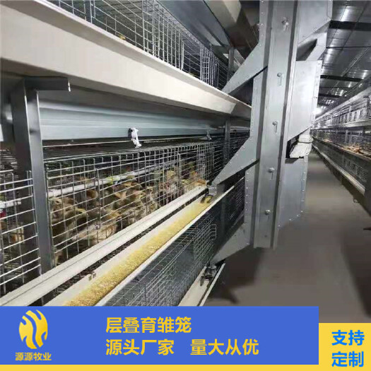 西平县鸡笼自动化养殖设备蛋鸡笼肉鸡笼育雏笼笼网