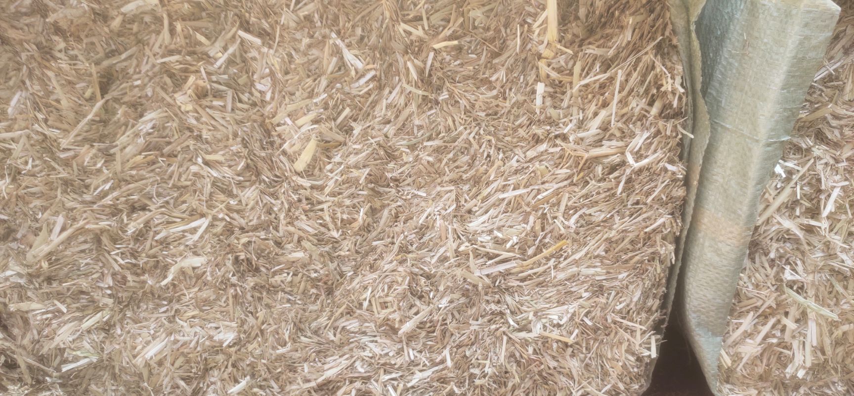 小麦秸秆颗粒饲料！牛羊马的最爱！！！