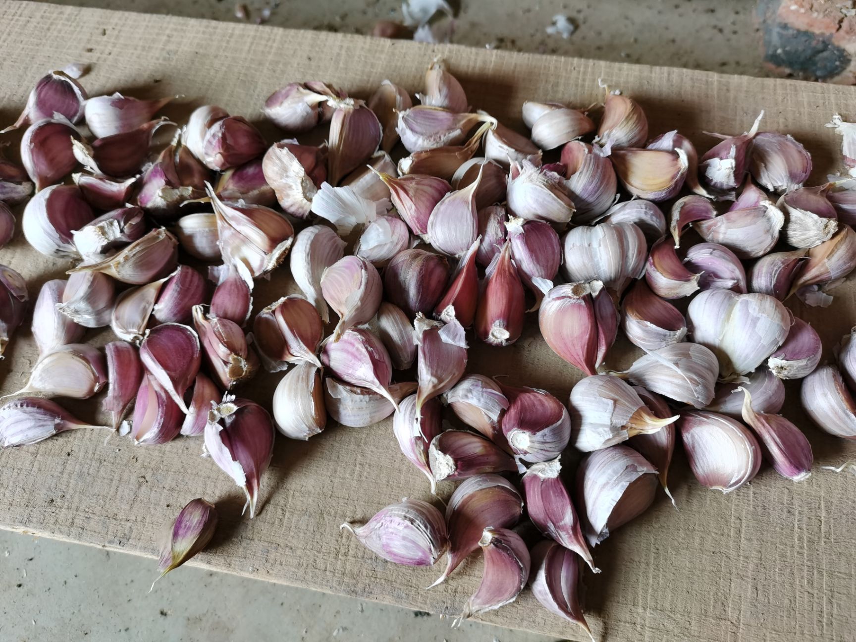 红皮蒜  ，精选云南高原红蒜种子，产地直供。