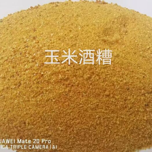 隆尧县 玉米酒糟
