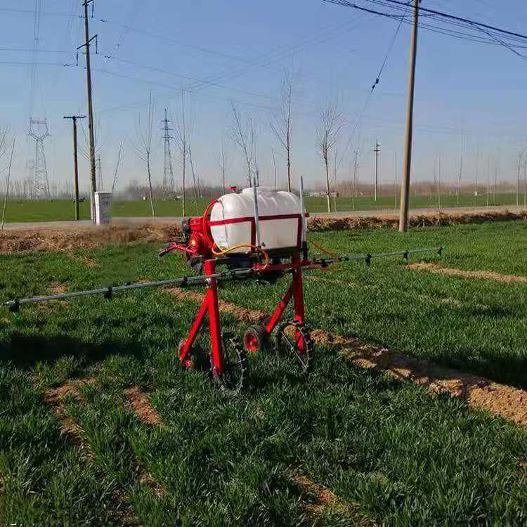 手推自走式打药机 棉花小麦玉米大豆大葱打药机喷药机