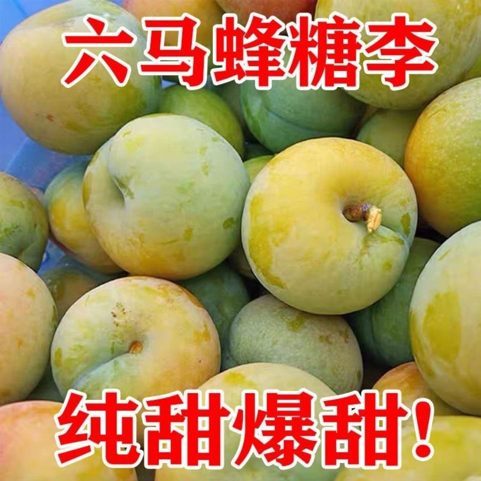 镇宁六马蜂糖李脱骨李应季最爱