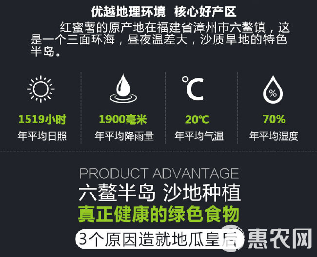 一件代发 六鳌蜜薯地瓜皇后沙地蜜薯西瓜红红薯基地直供