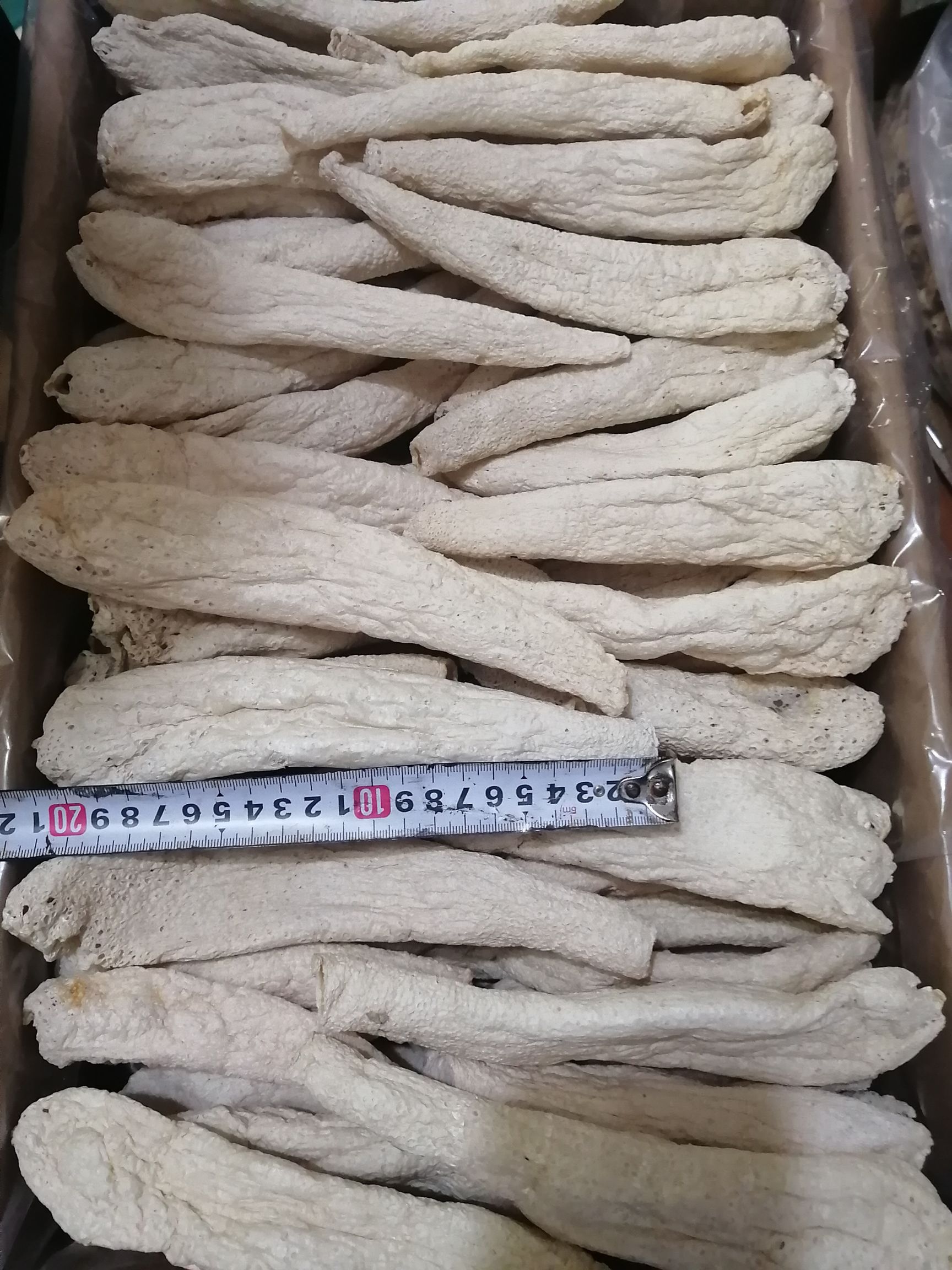 冬荪，大方冬荪，学名白鬼笔，又称竹下菌、竹菌、无裙荪，