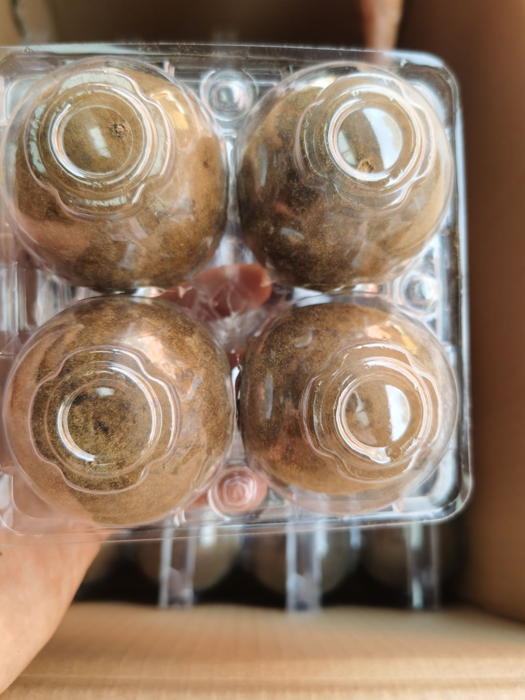 罗汉果干果 含塑料壳 大量批发 规格齐全 品质好货