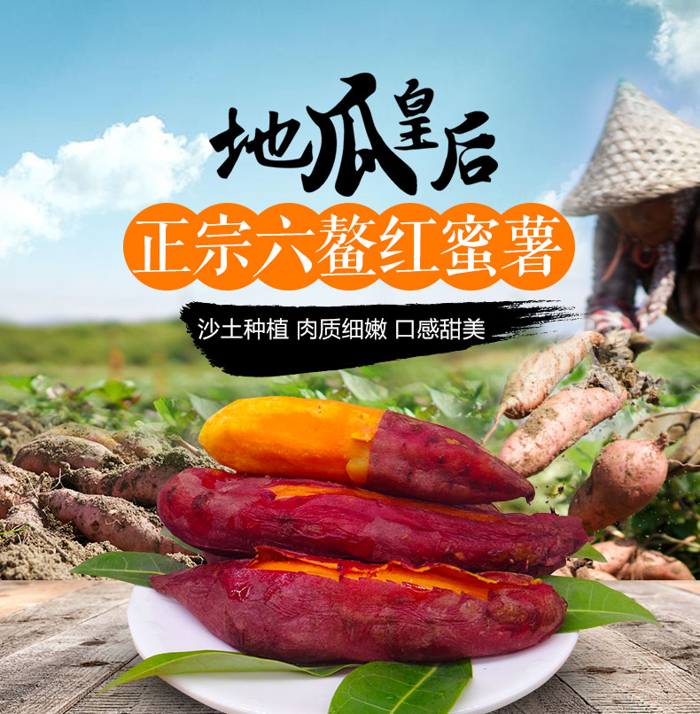 一件代发 六鳌蜜薯地瓜皇后沙地蜜薯西瓜红红薯基地直供
