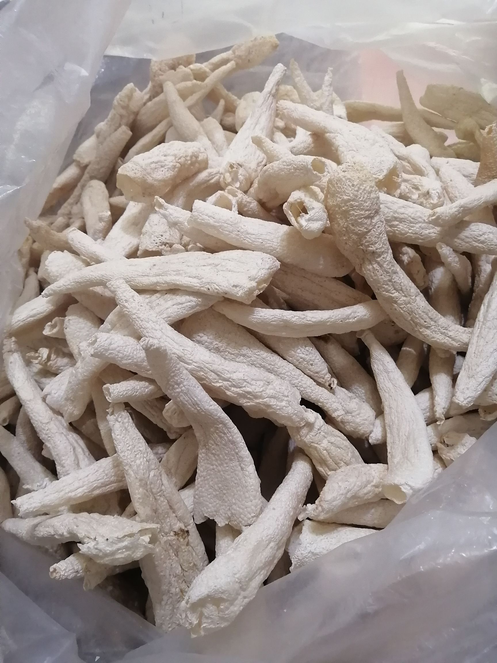冬荪，大方冬荪，学名白鬼笔，又称竹下菌、竹菌、无裙荪，