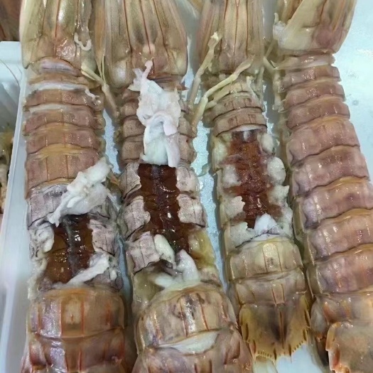连云港带膏熟冻大皮皮虾新鲜熟冻皮皮虾大虾爬大虾婆大琵琶虾自助熟冻虾