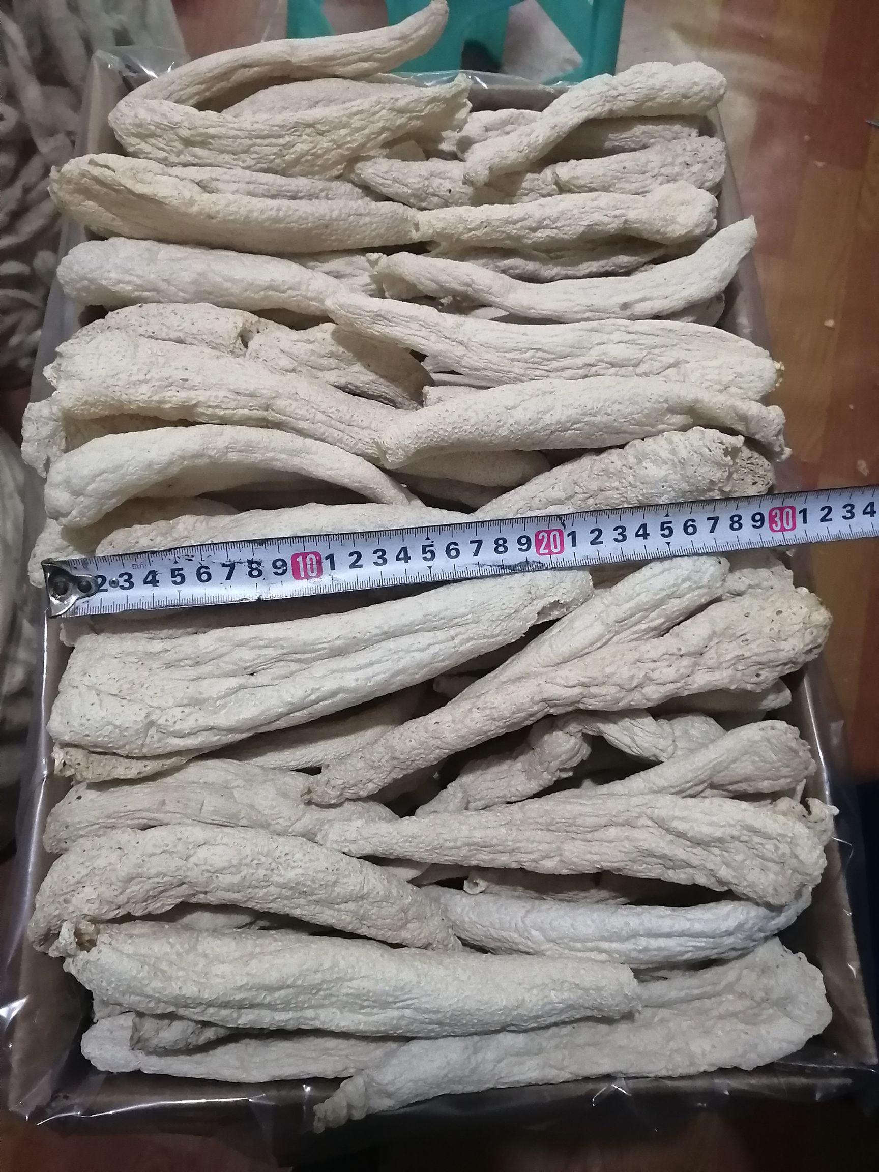 冬荪，大方冬荪，学名白鬼笔，又称竹下菌、竹菌、无裙荪，