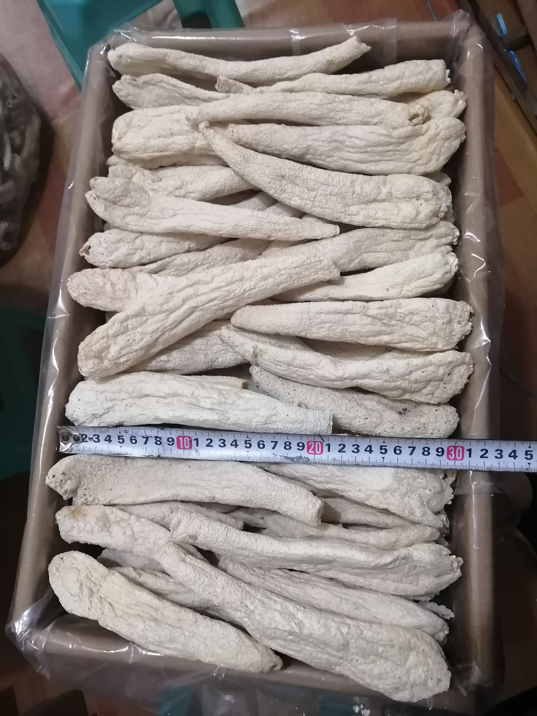冬荪，大方冬荪，学名白鬼笔，又称竹下菌、竹菌、无裙荪，