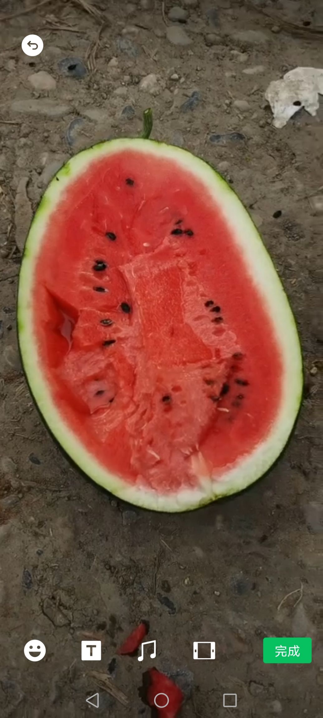黑美人西瓜  黑美人便宜了