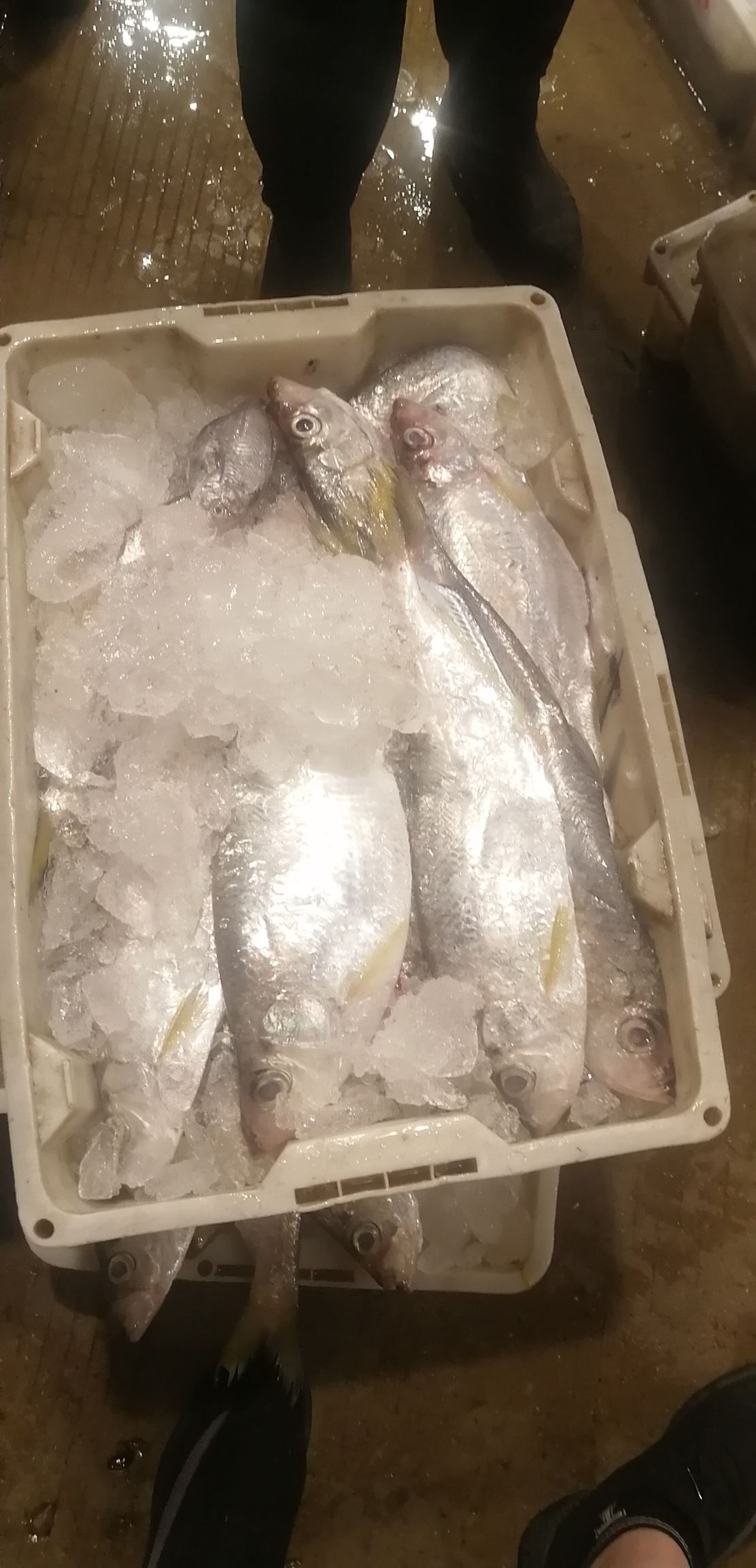南昌 海鲜批发
